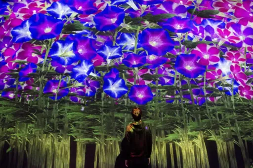Image for article What You Can Expect To See At Singapore's 2027 teamLab Museum