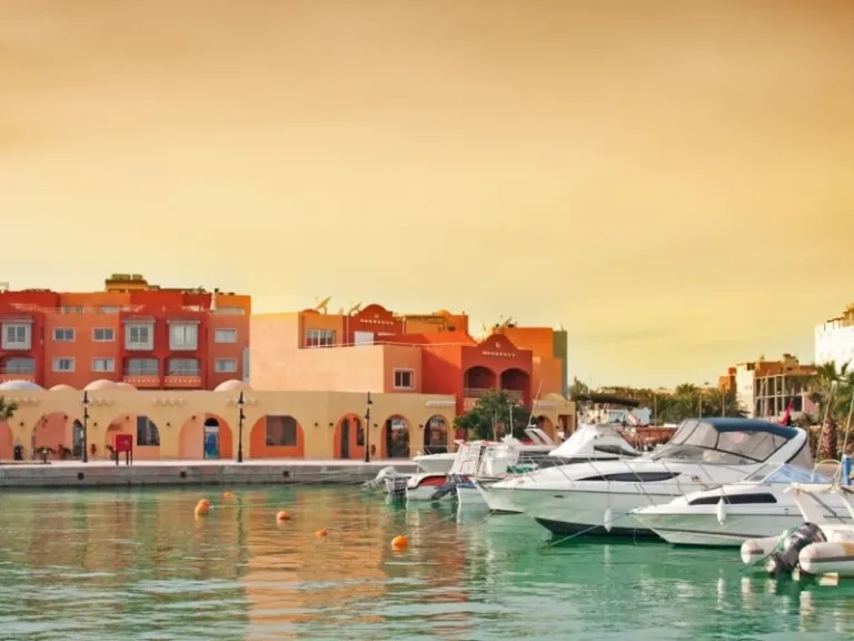 natas travel fair 2025