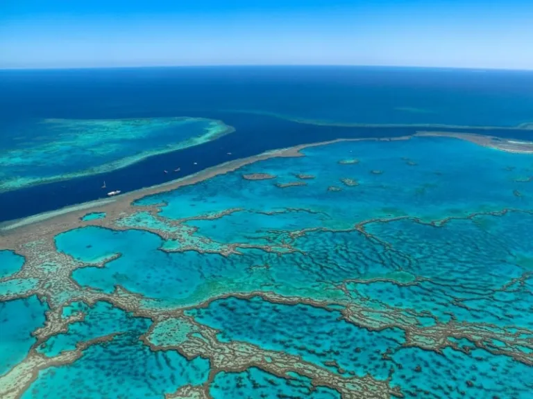 natas travel fair 2025