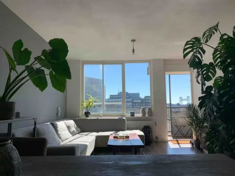 Airbnbs in Rotterdam