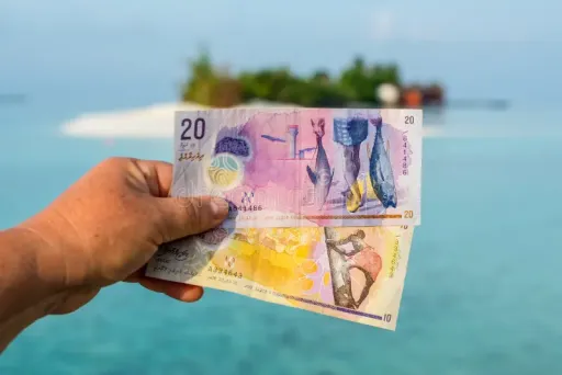 Image for article The World’s Most Beautiful Banknotes You’ll Want to Keep
