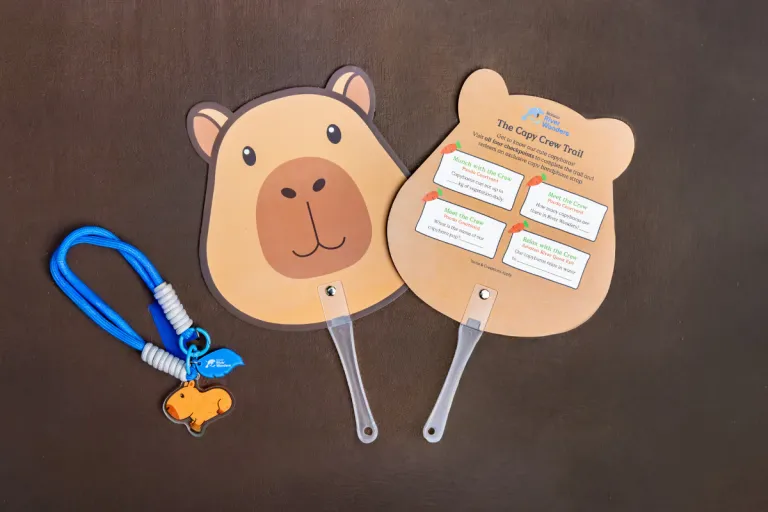 Capybara Activities River Wonders