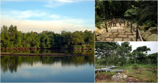 Image for article 5 Hiking Trails in Singapore for Beginner Hikers