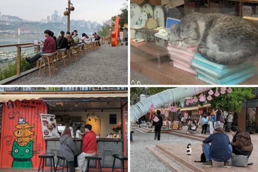 Image for article We Visited Chongqing's Firefly Harbour Cat Park: 6,000 Rescue Cats, Firefly Displays, and S$3.60 Entry
