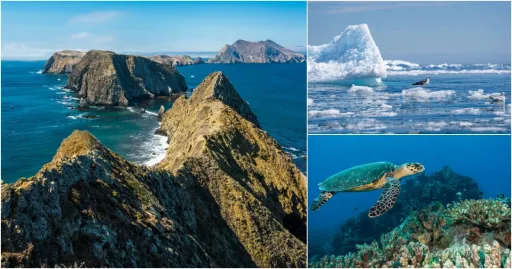 Image for article 5 Oceans of the World: Their Differences & Fascinating Facts!