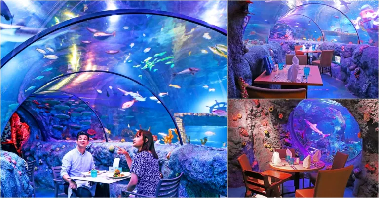 和鲨鱼一起吃饭？马来西亚乐高乐园 (LEGOLAND® Malaysia) 将于 2026 年回归标志性水下餐厅！