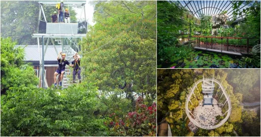 Image for article Penang Nature Parks: A Local Guide to the Best Weekend Escapade