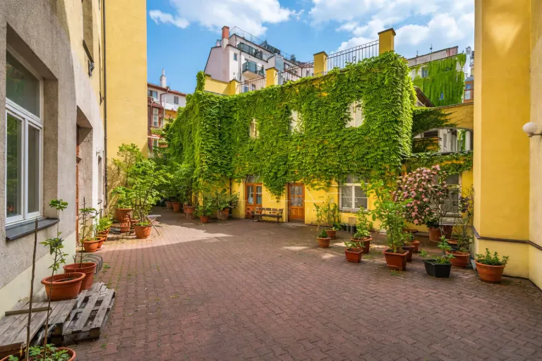  Cheap Airbnb Stays in Prague Near Old Town 