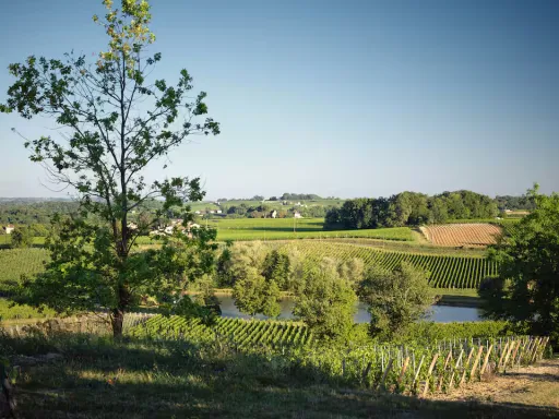 Image for article Best 8 Countryside Airbnbs in France for Peaceful Getaways in 2026