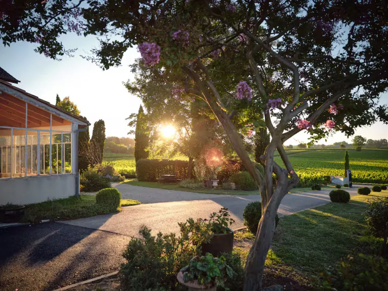 Countryside Airbnbs in France