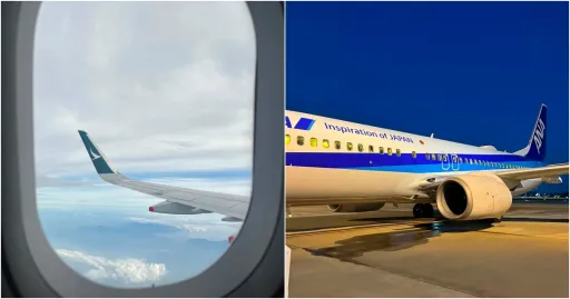 Image for article What Is a Codeshare Flight? A Simple Guide to Clear Your Confusion