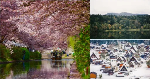 Image for article Best Time to Visit Japan: A Month-by-Month Guide