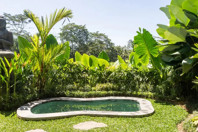 Jungle Dome Airbnb Stays in Indonesia for Nature Escapes