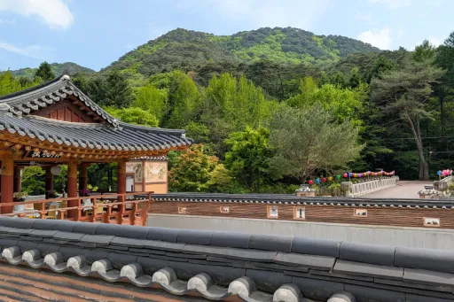 Image for article Eat and Play Your Way Through Chungcheong, A South Korea That Feels (and Costs) Better Than Europe