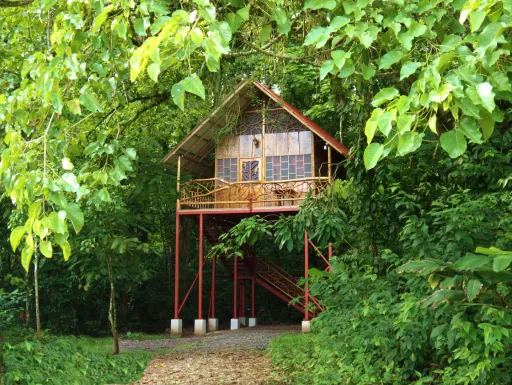 Image for article Best 2026 Treehouse Airbnb Stays in Costa Rica for Nature Lovers