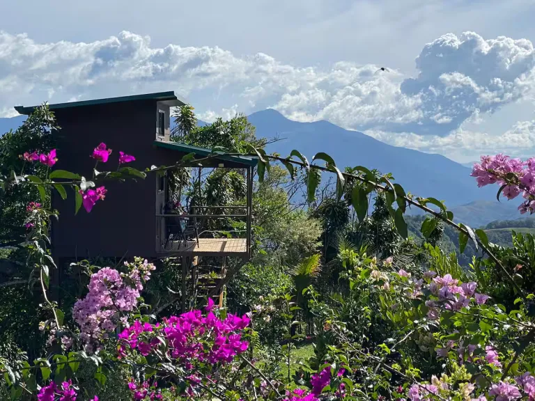  treehouse Airbnb in Costa Rica 