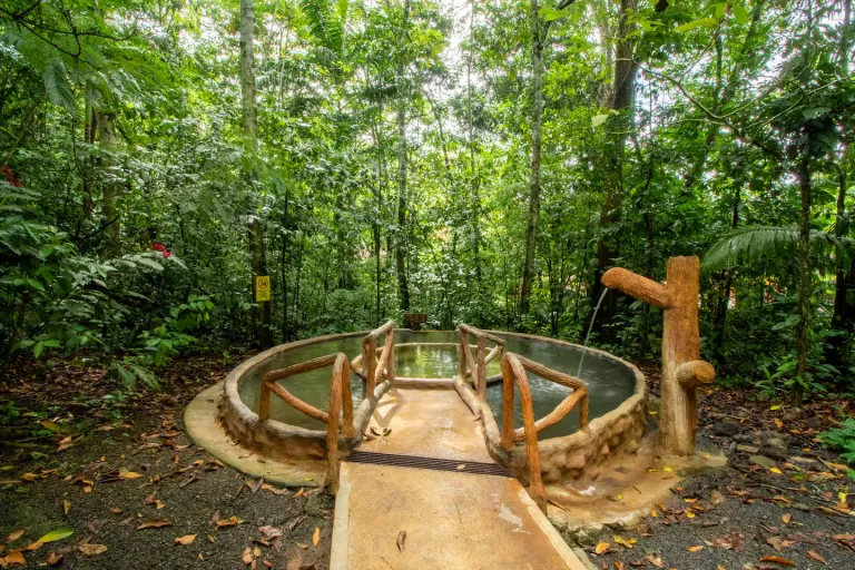  treehouse Airbnb in Costa Rica 
