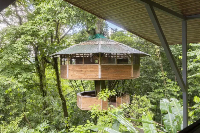  treehouse Airbnb in Costa Rica 