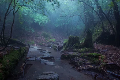 Image for article The Most Beautiful Places to Visit in Japan During the Rainy Season