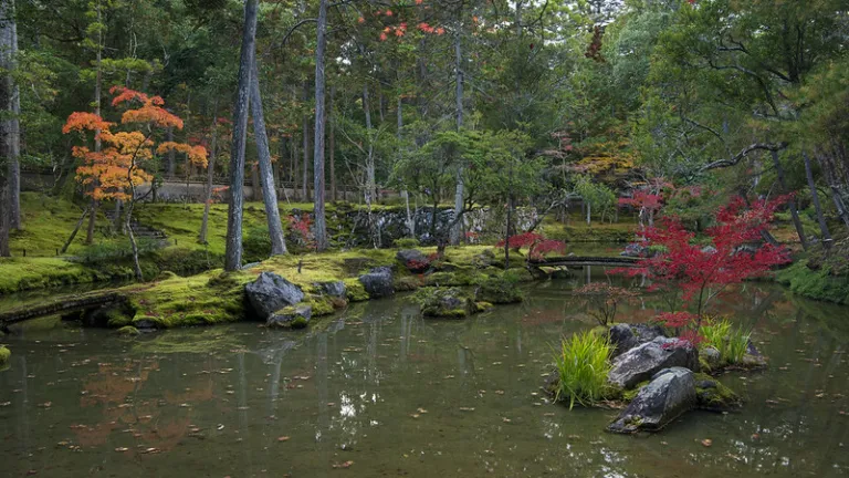 Moss-covered garden and tranquil pond at Saiho-ji Temple in Kyoto surrounded by vibrant greenery