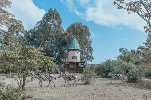 Image for article 8 Best Safari Lodge Airbnb Stays in Kenya for Wildlife Experiences in 2026