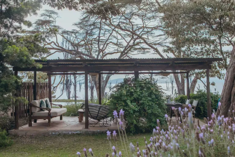 Airbnb Stays in Kenya for Wildlife Experiences