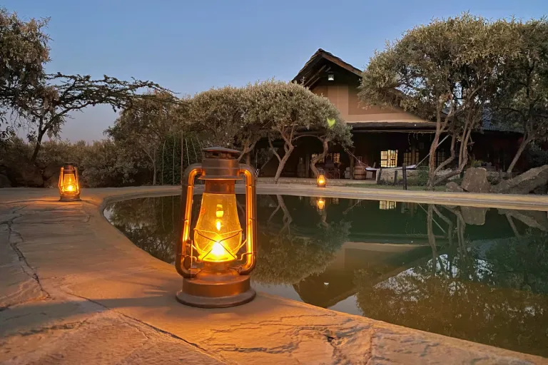 Airbnb Stays in Kenya for Wildlife Experiences