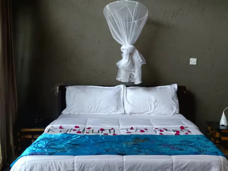 Airbnb Stays in Kenya for Wildlife Experiences
