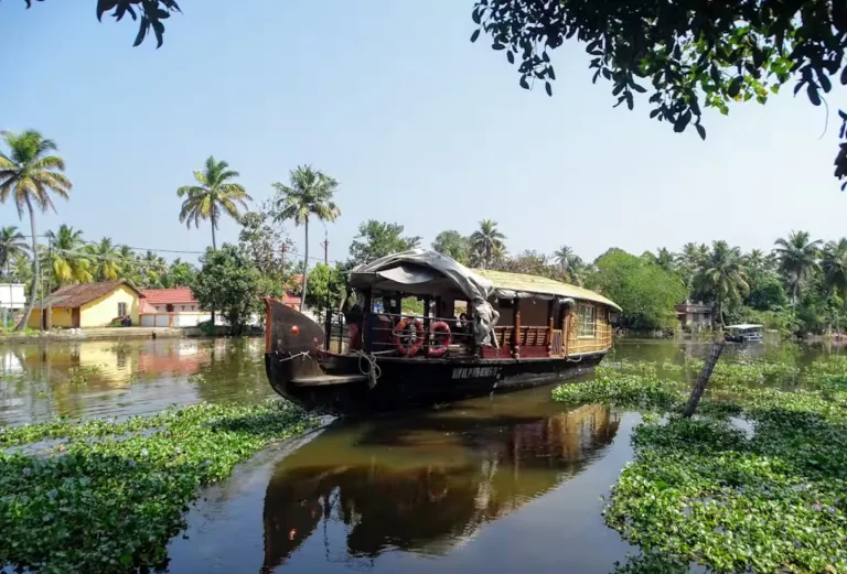 Best 2026 Houseboat Airbnb Stays in Kerala 