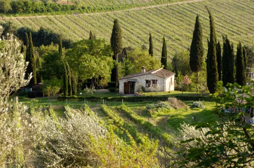 Image for article 8 Best 2026 Vineyard Airbnb Stays in Tuscany for Wine Lovers