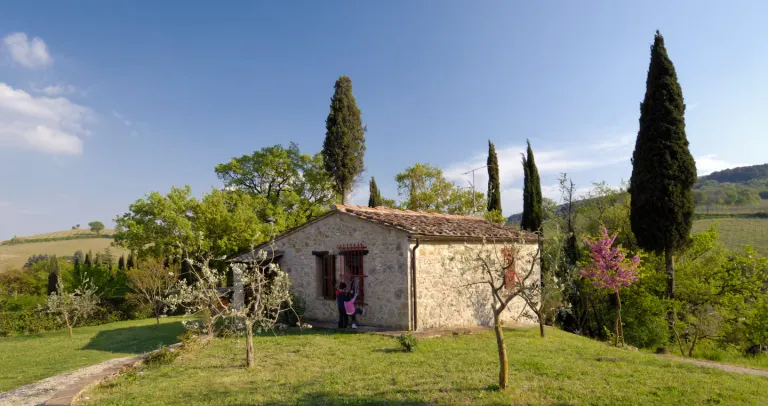 Best 2026 Vineyard Airbnb Stays in Tuscany 