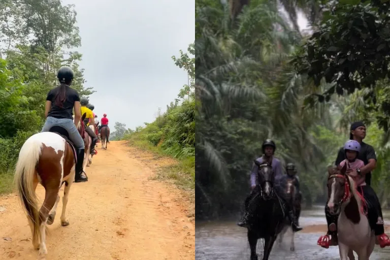 Horse Riding Malaysia