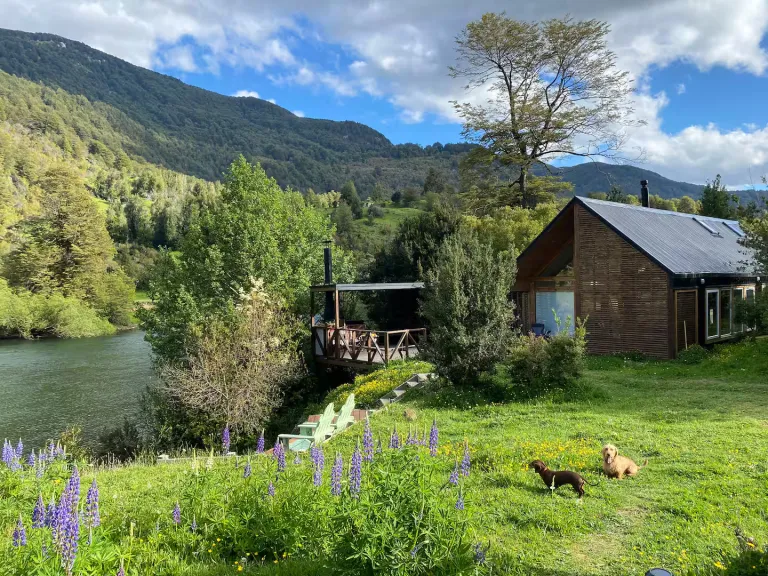  Airbnb Stays in Patagonia for Adventure Travelers in 2026		