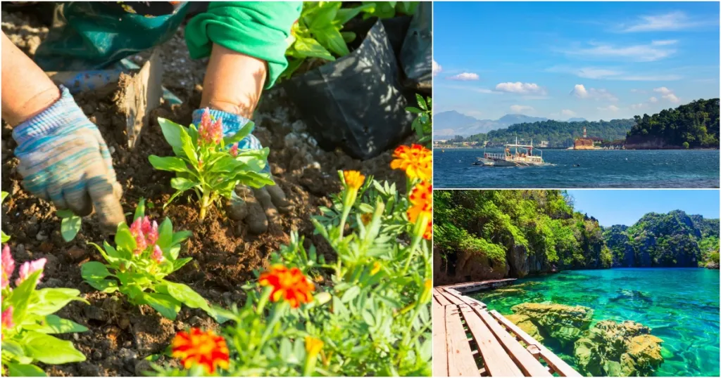 10 Hobbies to Try in the Philippines If You’re Retiring in the Philippines
