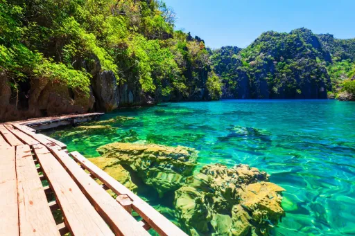 Image for article 10 Hobbies to Try in the Philippines If You’re Retiring in the Philippines