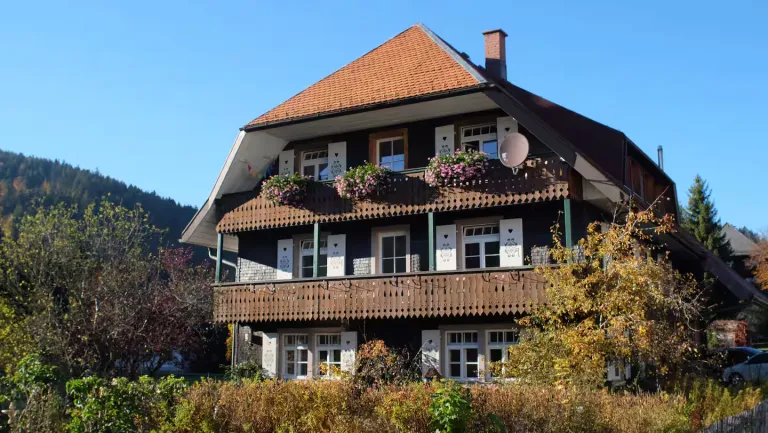 Forest Airbnb Stays in Black Forest Germany