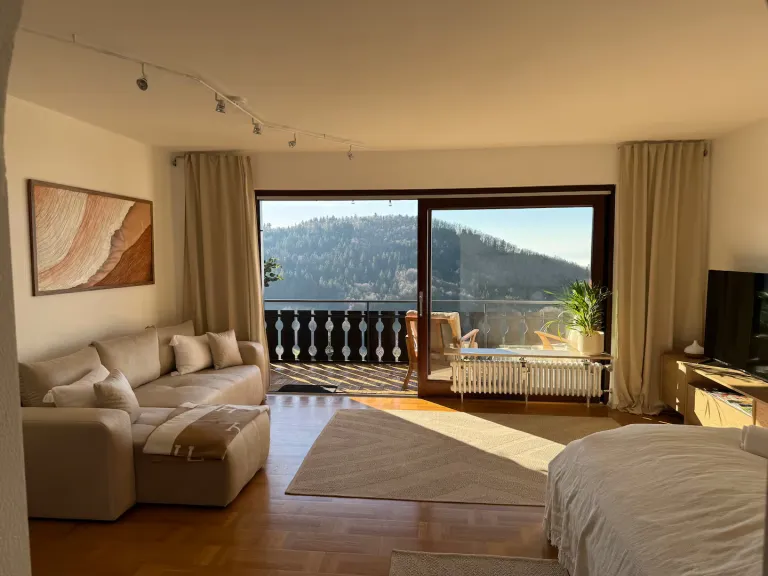 Forest Airbnb Stays in Black Forest Germany