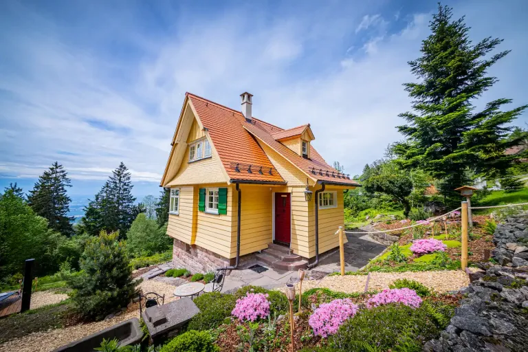 Forest Airbnb Stays in Black Forest Germany