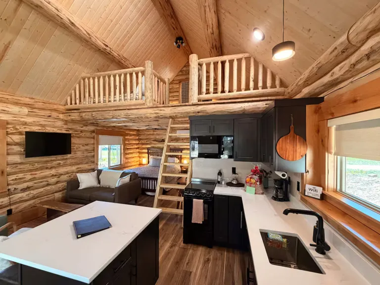  Airbnb Cabins in Montana