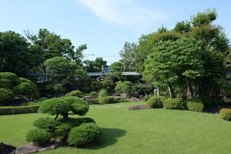 Garden at Shibamata Taishakuten Temple in Tokyo, featuring trimmed trees, open greenery and traditional Japanese landscaping.