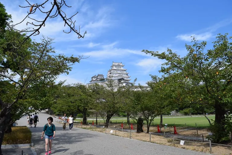 Visitors walking along a tree-lined path toward Himeji Castle under a sunny sky