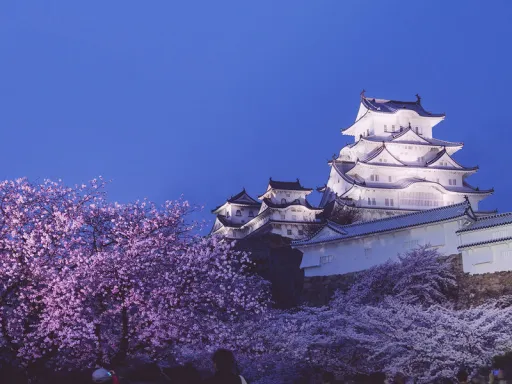 Image for article Himeji Castle: The Complete Guide for First-Time Visitors
