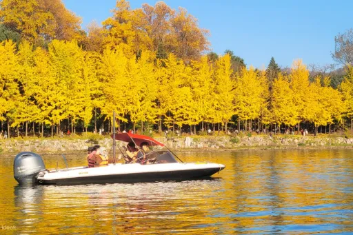 Image for article 9 Best Things to Do on Nami Island: A Complete 2026 Guide