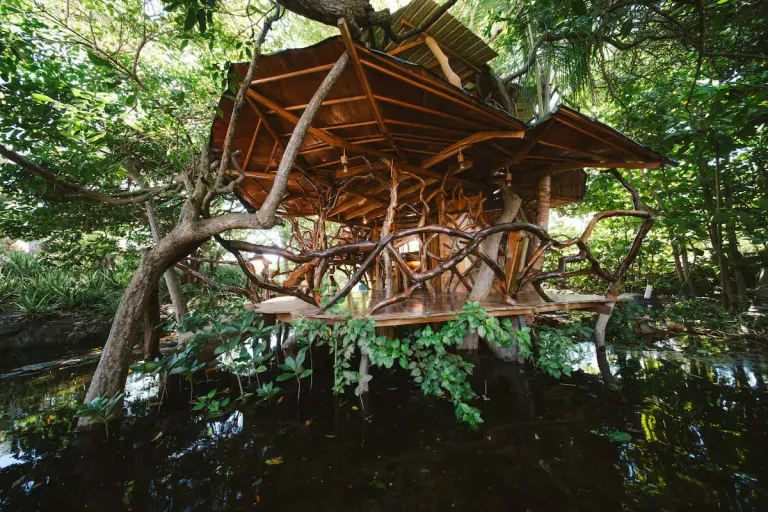 Best 2026 Airbnb Stays in Galápagos Islands, Ecuador for Wildlife Lovers