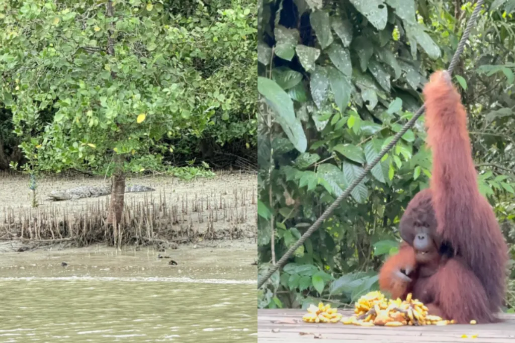 9 Reasons Why Sarawak Is Southeast Asia’s Most Underrated Adventure Playground