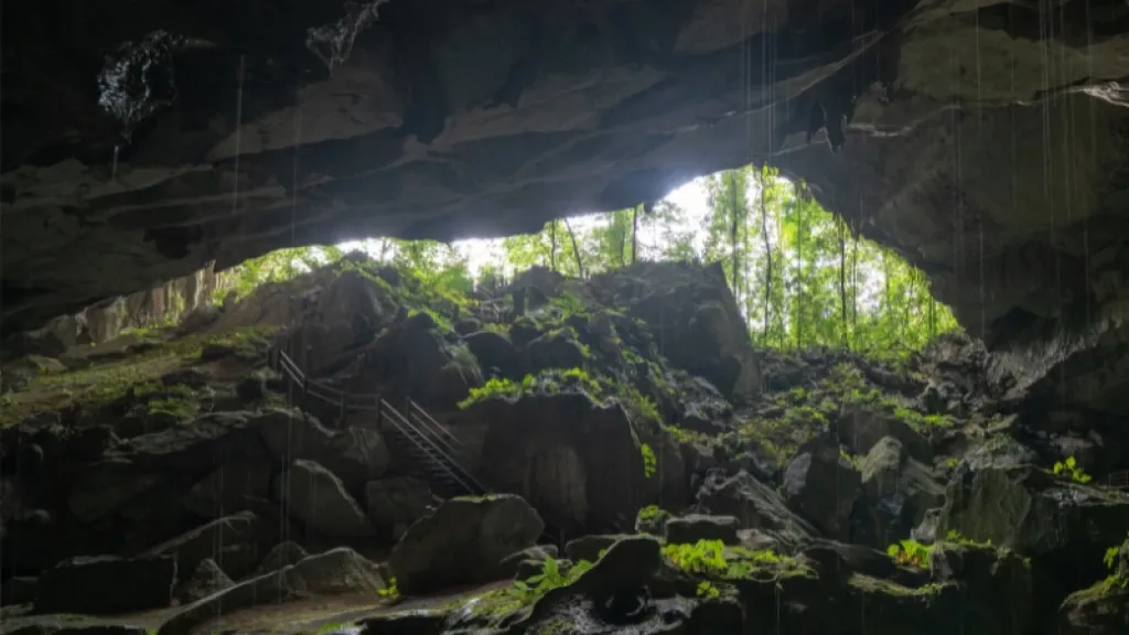 Why Travelling to Sarawak Was the Ultimate Detox for My Urban Soul