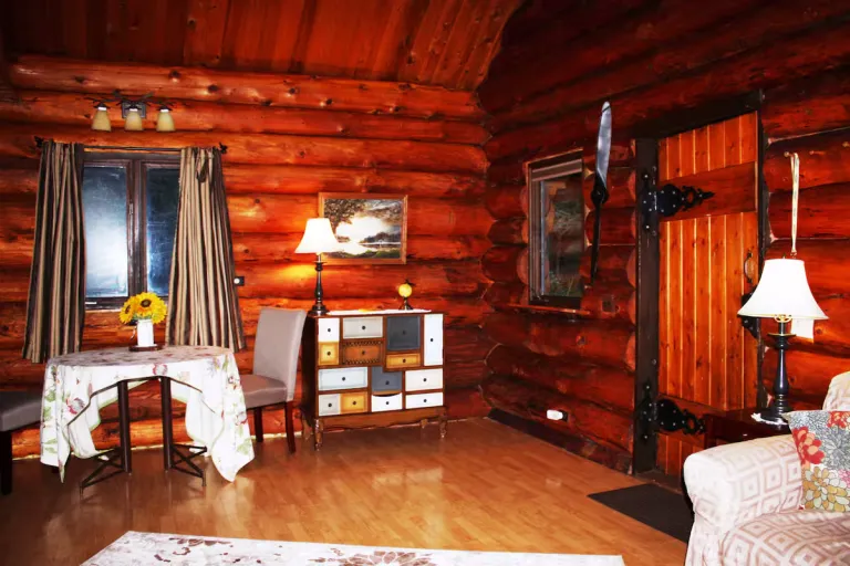 8 Best 2026 Airbnb Cabins in Alaska for Wilderness Adventures