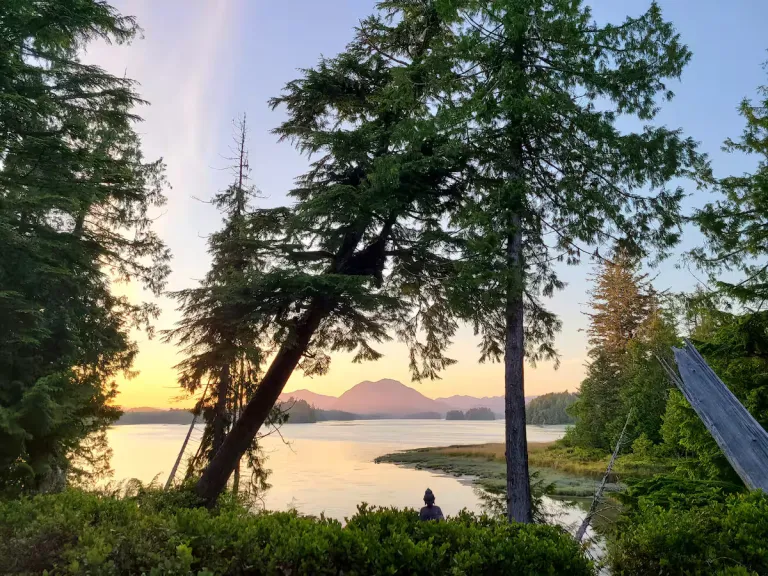 8 Best 2026 Waterfront Airbnb Stays in Vancouver Island for Coastal Escapes 