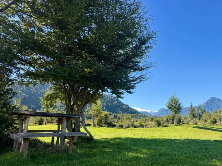 8 Best 2026 Airbnb Stays in Patagonia, Chile for Mountain Adventures