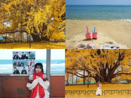 Image for article Gangwon Autumn Itinerary 2026: Scenic Spots, Festivals and K-Drama Views
